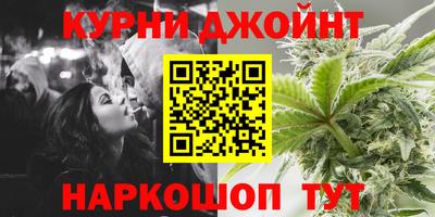 сатива Аргун