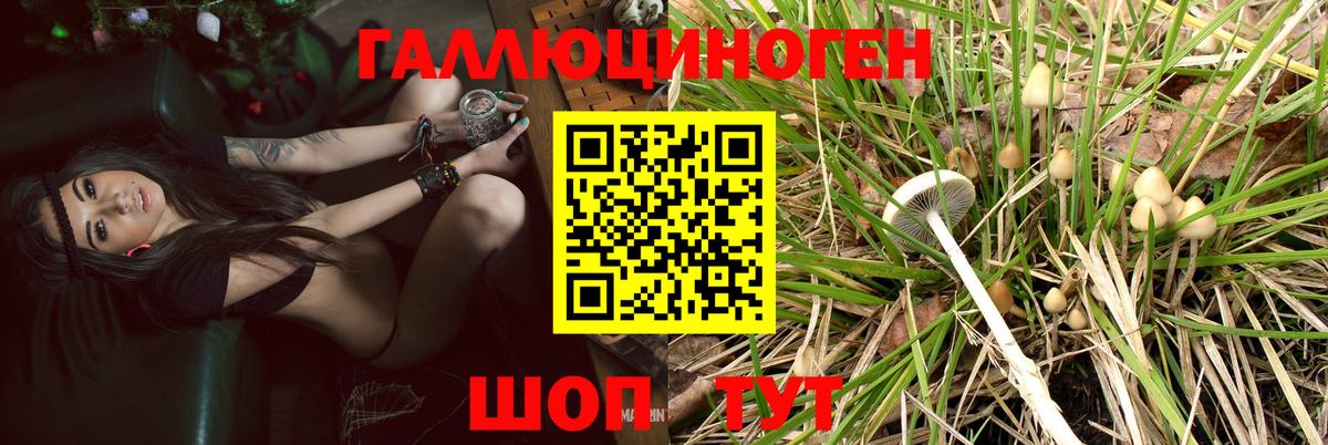 Вышний Волочёк  Галлюциногенные грибы прущие грибы  дарнет шоп  Вход с VPN 
